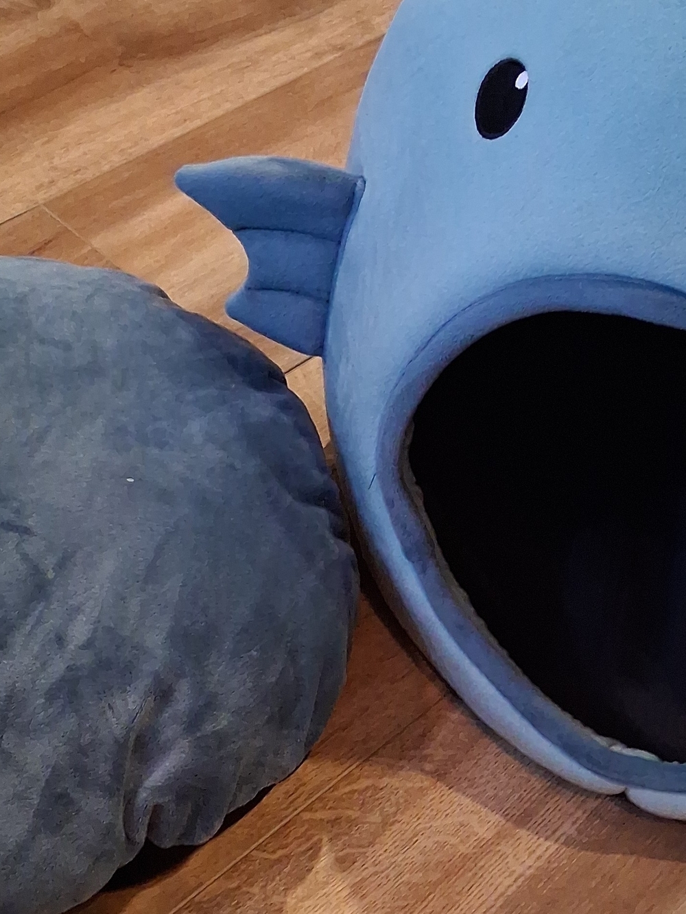 Blue Plush Fish Pet Bed with Matching Cushion